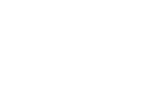 AMD Rayzen
